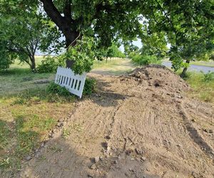 Budowa ścieżki rowerowej wzdłuż Alei Konstytucji 3 Maja