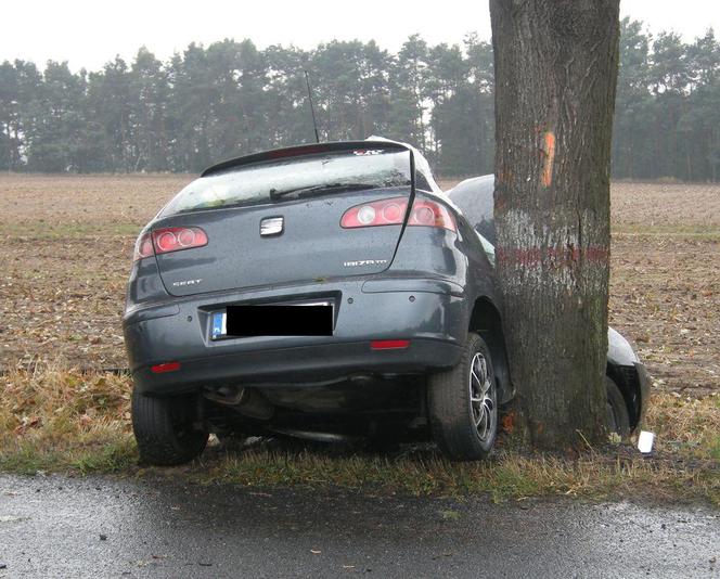 Wypadek w Krapkowicach