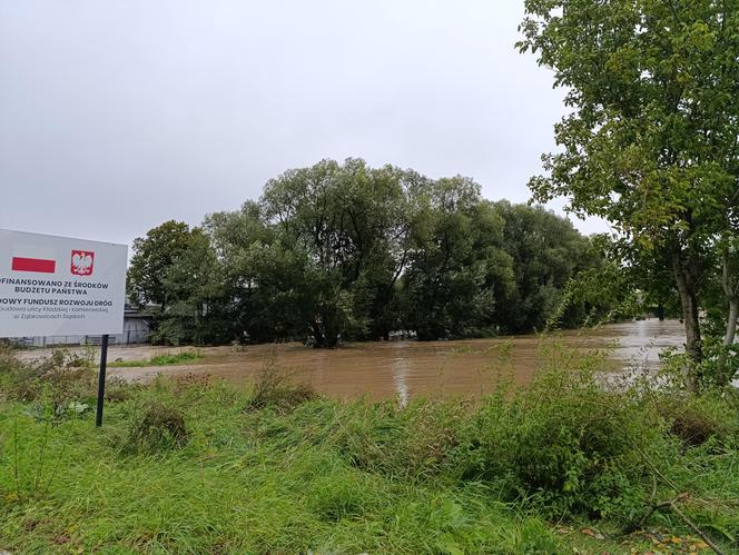 Ząbkowice Śląskie (woj. dolnośląskie)