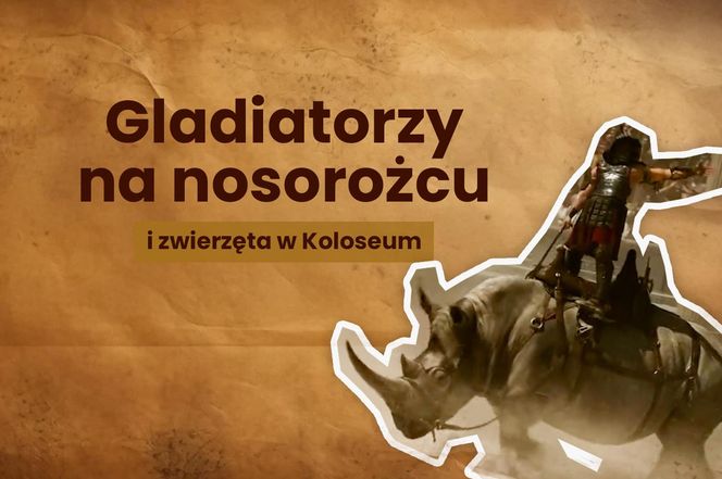 Gladiator na nosorożcu i zwierzęta w Koloseum