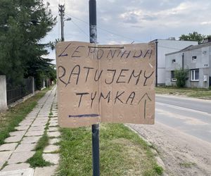 Sprzedają lemoniady, by wesprzeć zbiórkę chorego Tymka
