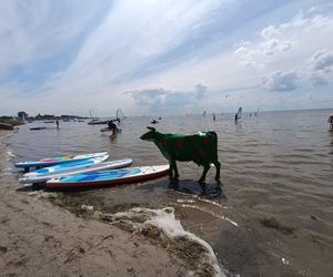Nietypowa atrakcja nad morzem. Ta figura stoi w wodzie! Turyści ją pokochali