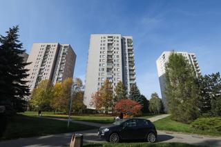 „Boimy się o swoje życie”. Strzelec wyborowy zaatakował ponownie? Zniszczono dwa samochody osobowe