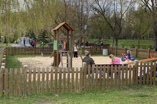 Stawiki w Sosnowcu budzą się do życia na wiosnę