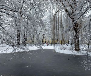 Leszno wygląda bajkowo! Na walentynki sypnęło śniegiem