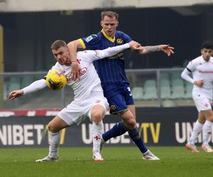 Verona - Fiorentina