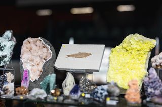 Biżuteria, kamienie i błysk we Wrocławiu! Ruszają Jesienne Targi Minerałów i Jubilerów