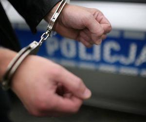 37-latek z Trzemeszna spędzi 3 miesiące w areszcie