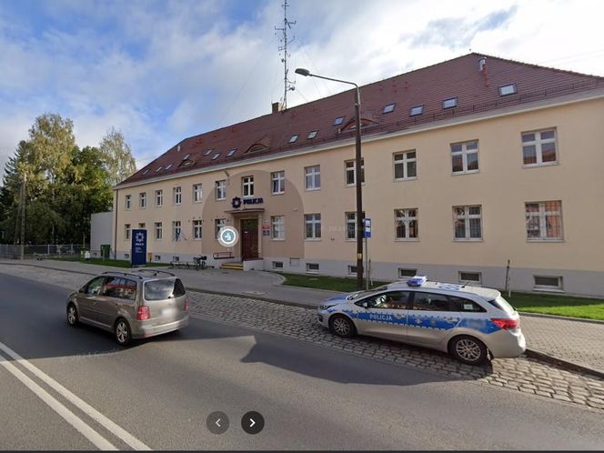 Żółw na drodze niedaleko Wschowy. Policja szuka właściciela