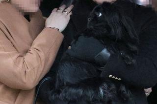 Ukochany pies Kamińskiego pożegnał go na pogrzebie