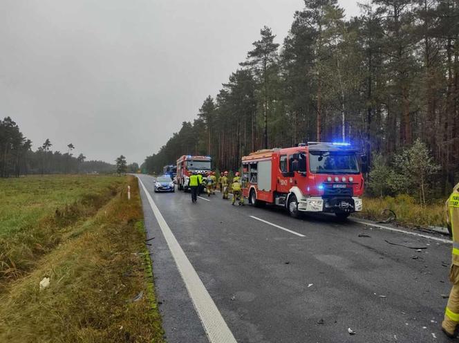 Tragiczny wypadek na DK11 w Śląskiem