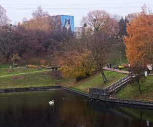 Mural z kotem Gackiem już odsłonięty