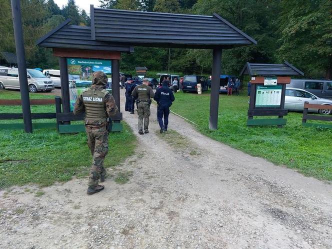 Najazd rumuńskich grzybiarzy na Podkarpaciu