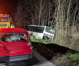 Autobus pełen pasażerów wylądował w rowie. Poszkodowane zostało roczne dziecko
