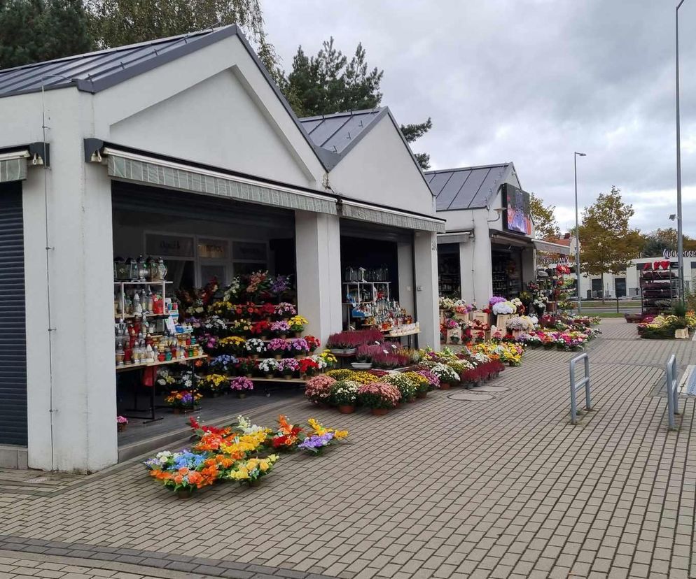 Cmentarz na Junikowie dwa tygodnie przed Wszystkimi Świętymi 2024