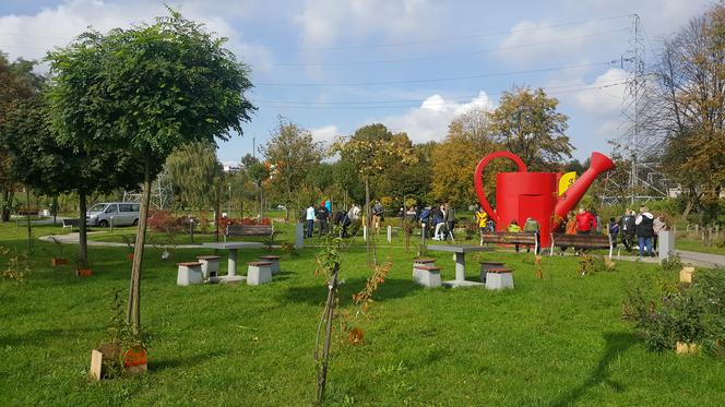 Pastwisko dla koni w Sosnowcu