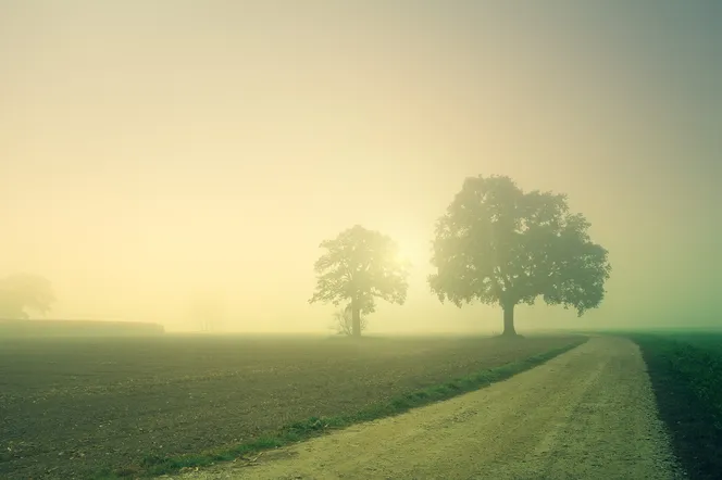 Mgła gęsta jak mleko. Gdzie będzie najgorzej według IMGW? Są też dobre wieści na weekend