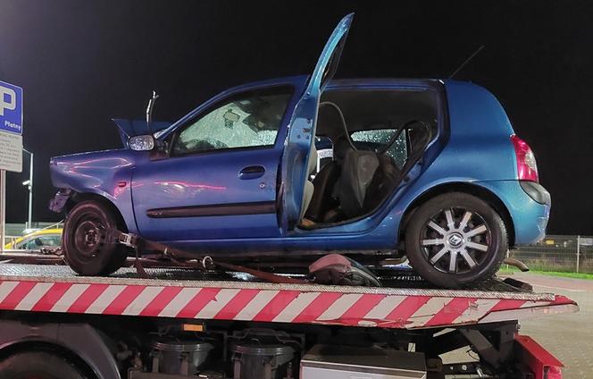 Kierowca zginął w wypadku, owczarek Aron konał kilka godzin