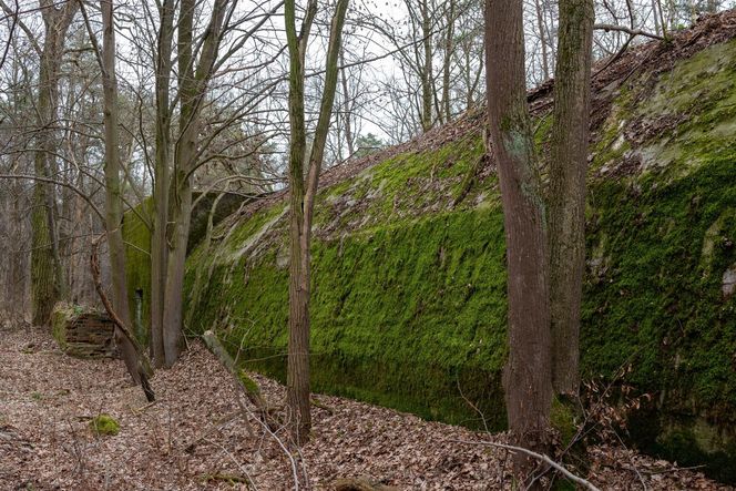  AI wskazała najgorsze miasto Opolszczyzny. Dramat i marazm, z którego nie ma wyjścia