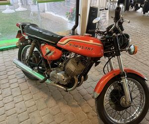 Festiwal Green Days Kawasaki