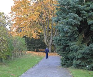 Spacer po jesiennych Ogrodzie Botanicznym w Lublinie