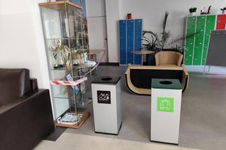 Łoś wskoczył przez okno szkoły. Jedna osoba została poszkodowana