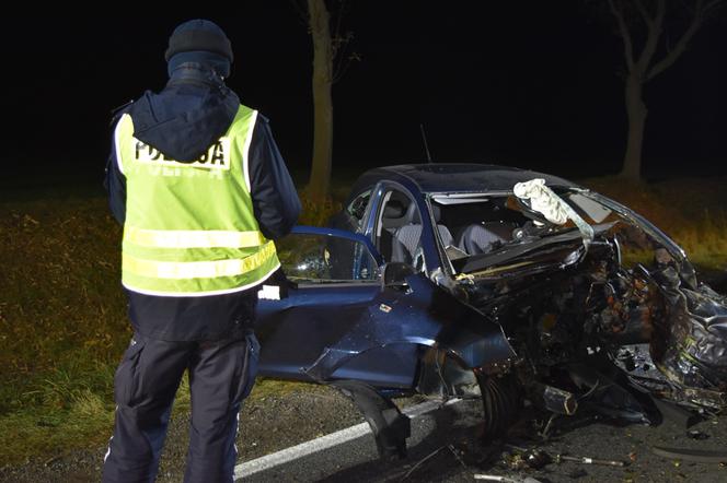 Tragiczny w skutkach wypadek na drodze relacji Śrem – Zaniemyśl