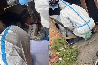 Mroczna prawda wyszła na jaw