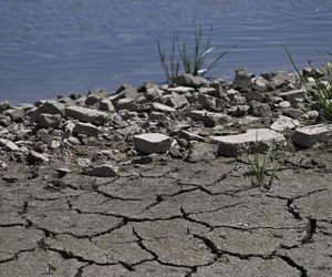 Alarm! Wisła wysycha na naszych oczach. Katastrofalny poziom wody w Warszawie