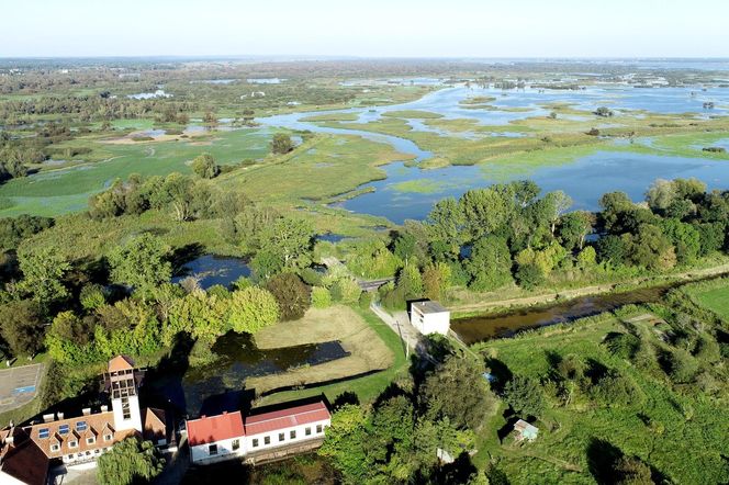 Zalane ścieżki i drogi w Parku Narodowym Ujście Warty