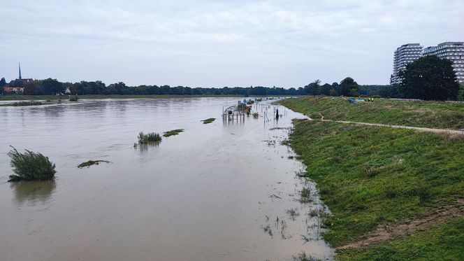 Fala powodziowa we Wrocławiu. Pod wodą są już beach bary i drogi 