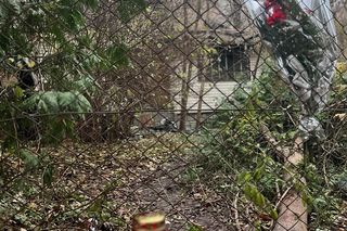 Tragiczny pożar w Lublinie. Zginęła trójka przyjaciół