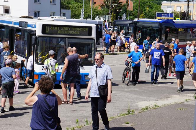 Zlot zabytkowych autobusów 2022 w Bydgoszczy [ZDJĘCIA] 