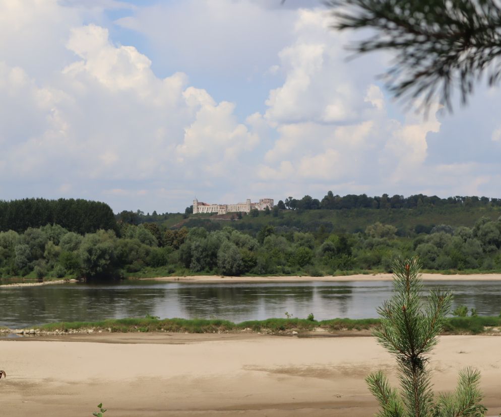 Nowy rezerwat przyrody w woj. lubelskim? Bajkowy Mięćmierz może być jego częścią