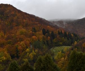 Małopolska wieś, która zachwyciła filmowców. Jesienią można poczuć się jak na planie