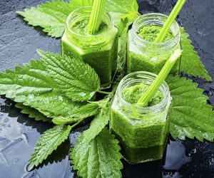 Sok z pokrzywy – właściwości, działanie, zastosowanie, dawkowanie i przeciwwskazania. Jak zrobić sok z pokrzywy?