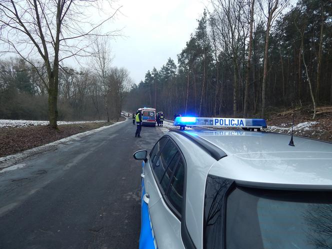 Tragedia podczas wycinki drzew w powiecie radziejowskim! Nie żyje jeden mężczyzna! [ZDJĘCIA]