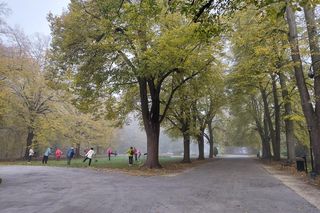 Zamojski Park jesienią
