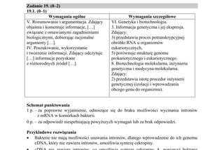 Matura 2018 z biologii [ARKUSZE CKE, ODPOWIEDZI]