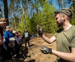 W Lesie Szpęgawskim odnaleziono zbiorową mogiłę. Dokonano tam masowych zbrodni niemieckich z II wojny światowej