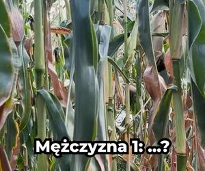 Mieszkańcy Kodeńca i Wyhalewa mówią o ataku rosyjskich dronów. Huk i strach