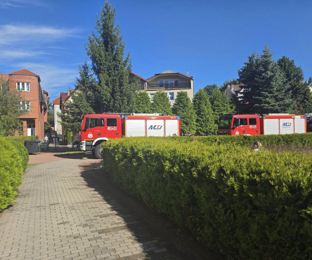 Szkoła