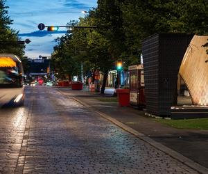 Projektowanie parametryczne i drewno - tymczasowy pawilon Pauhu
