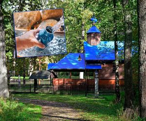 Puszcza Białowieska skrywa święte źródło. Pielgrzymi mówią o cudach