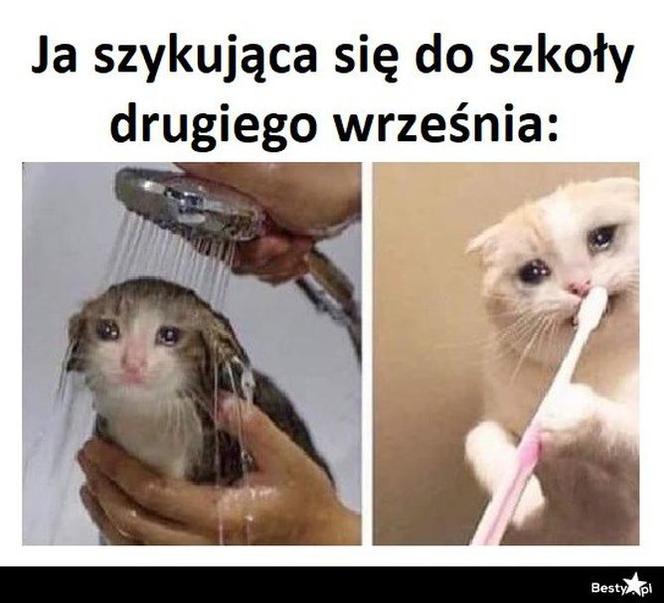 Memy o szkole 2020. Nauka u dobie koronawirusa. Żarty z nowej sytuacji 