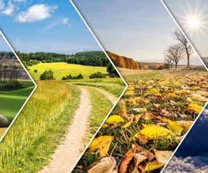 O tej porze roku rodzi się najwięcej ponadprzeciętnych osób. Jest jednak jedno ALE. Osobowość a pora roku urodzenia