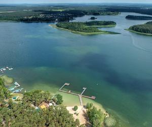 Kormoran nad jeziorem Niesłysz w Lubuskiem zaprasza turystów. Zobacz na te przepiękne zdjęcia 