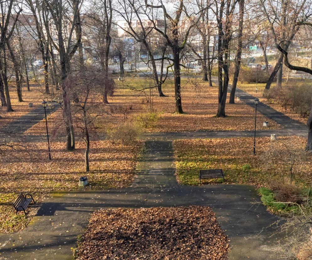 Zabytkowy Park Bronowicki w Lublinie czeka gruntowna rewitalizacja. Koszt? 8 milionów złotych