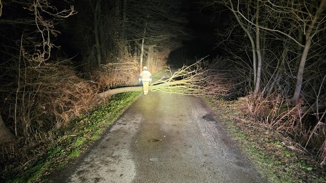 Niebezpieczne podmuchy wiatru w Łódzkiem. Strażacy interweniowali 140 razy