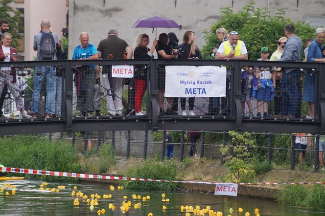 Ster na Bydgoszcz 2023. V Charytatywny Wyścig Kaczek Rotary [ZDJĘCIA]